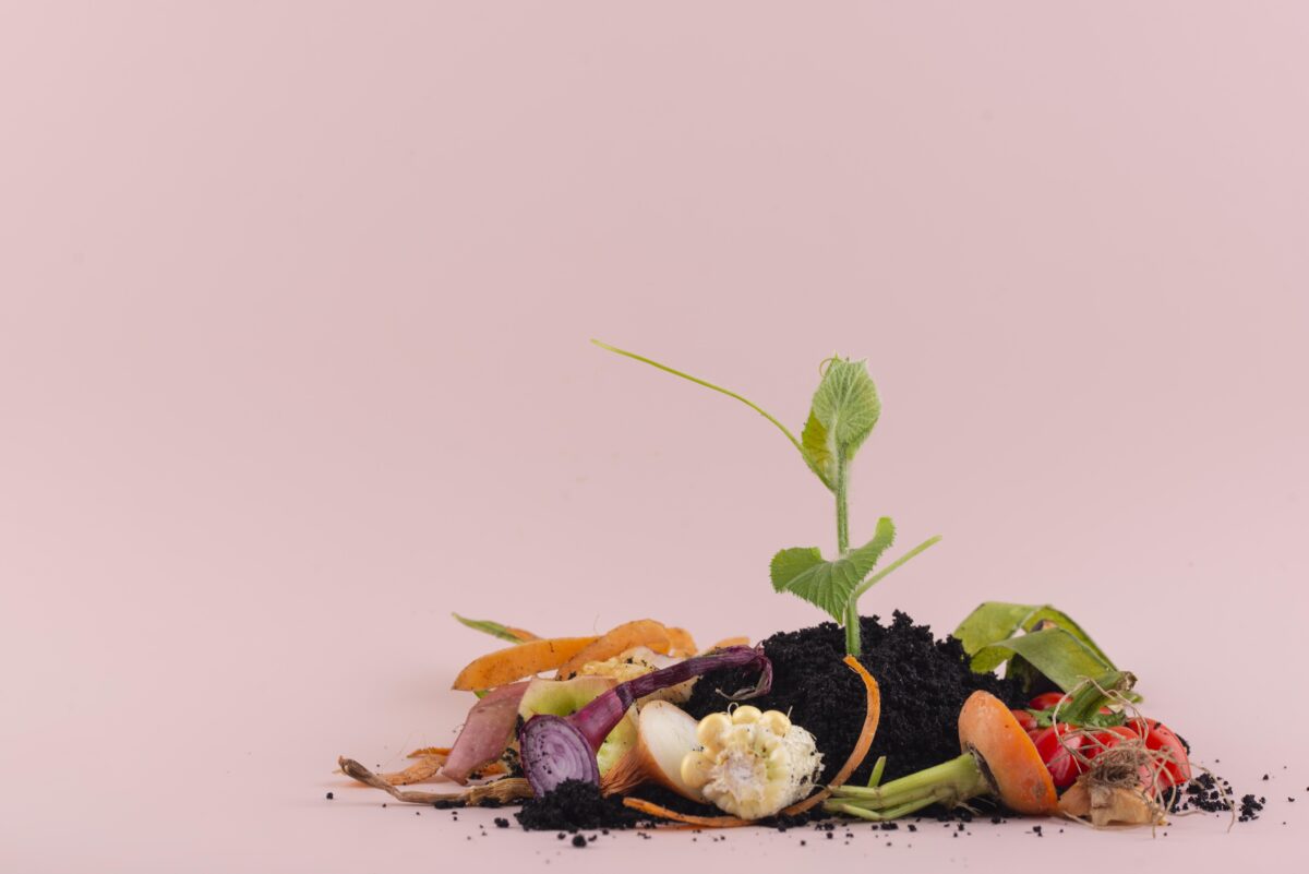 Do you own a Business? The advantages of not throwing away your food assortment compost made rotten food with copy space